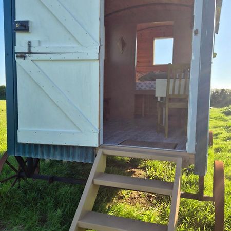 Coast Path Camping Saint Ishmaels  Экстерьер фото