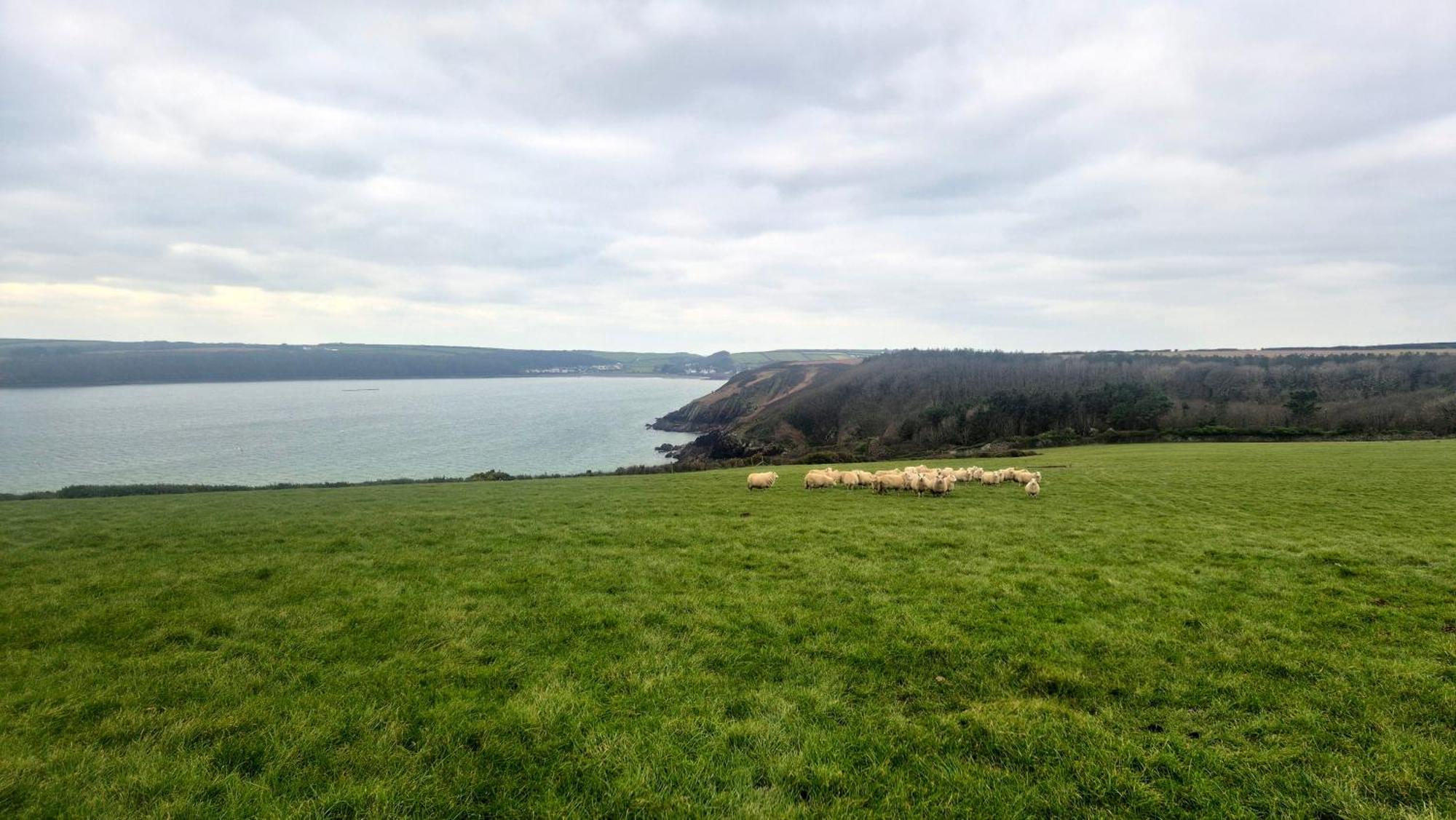 Coast Path Camping Saint Ishmaels  Экстерьер фото